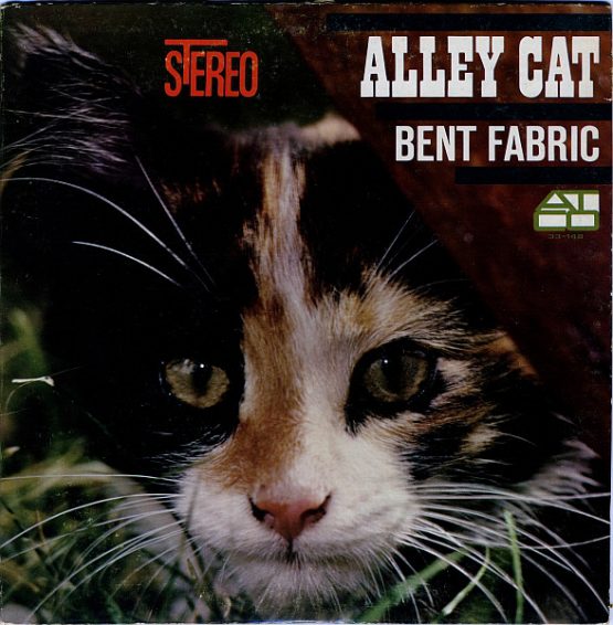 ALLEY CAT/BENT FABRIC